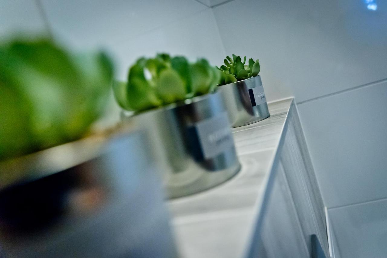 Apartament Kalinka Nysa Luaran gambar